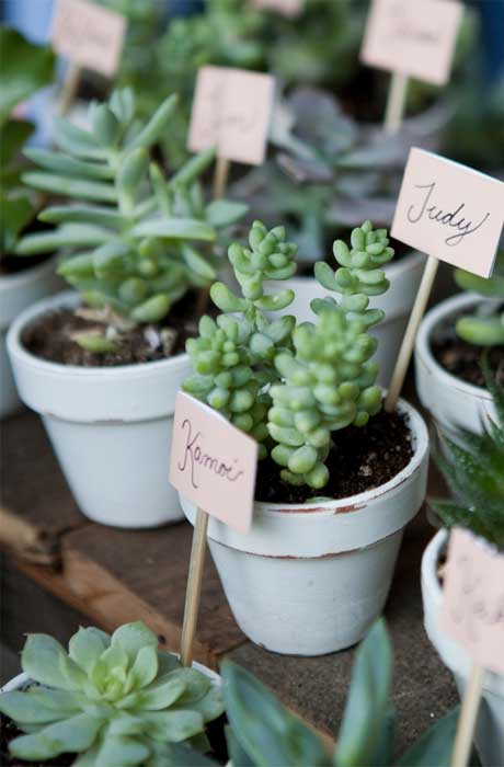 Wedding potted flower favors. 