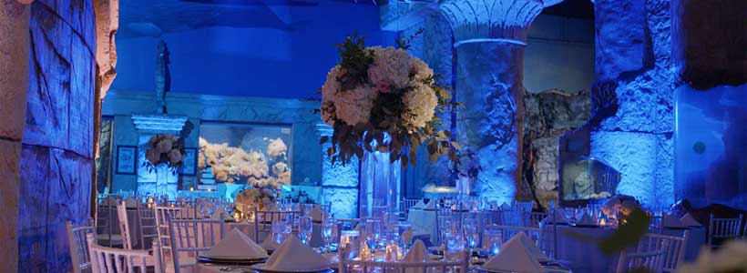 A reception table setup with flowers at Atlantis Banquets.