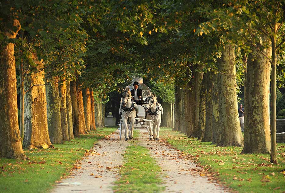 A horse drawn carriage riding down a path lined with trees. 