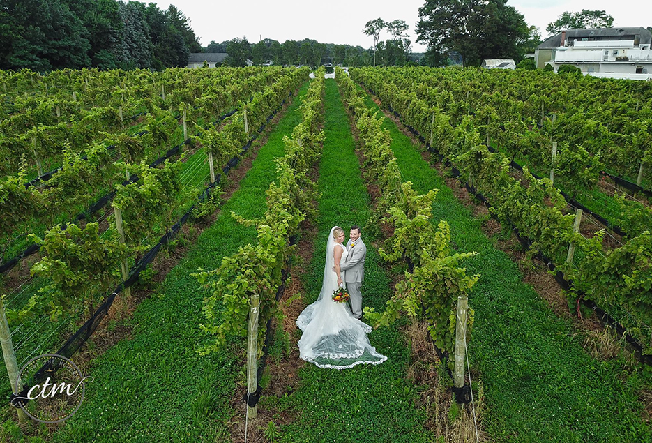 Bride and groom pose in a vineyard.