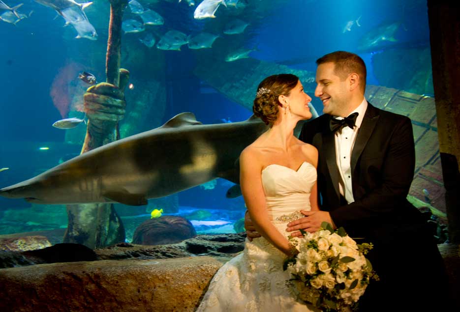 Couple smiling at one another in front of aquarium display. 