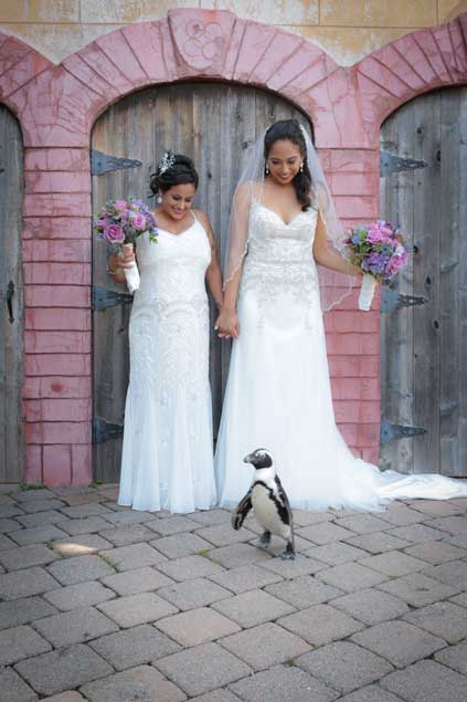 Two brides holding hands, smiling down at a penguin in front of them. 