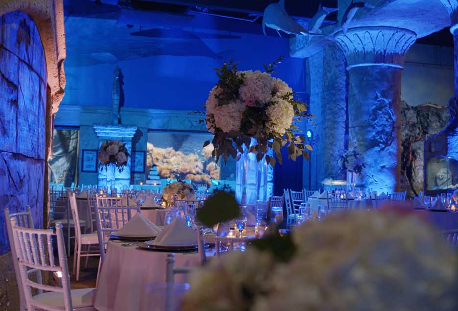 Flower display on tables surrounded by blue uplighting. 