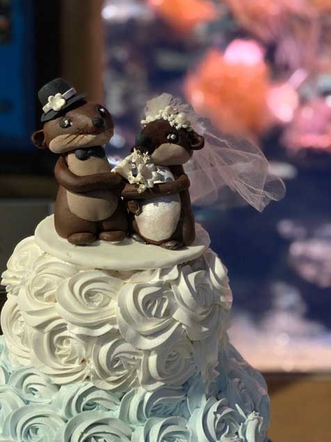 White wedding cake with cute brown animal topper. 